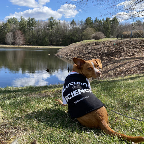 50% Off Sale: Watchdog for Science dog shirt